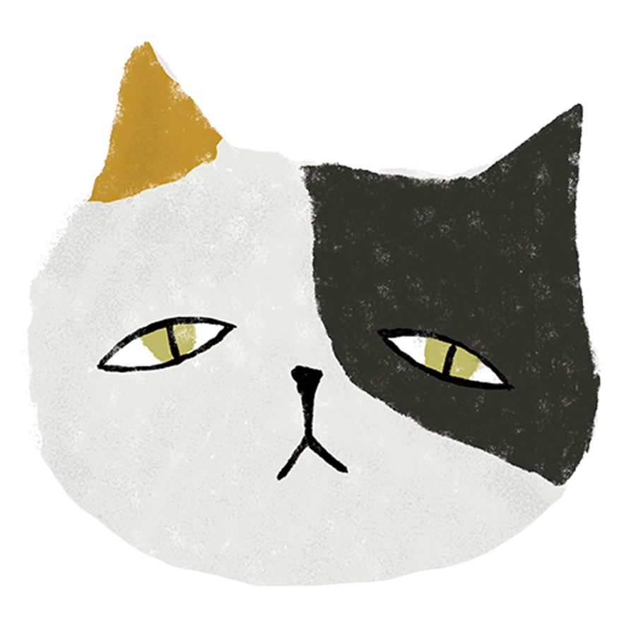 ミケ