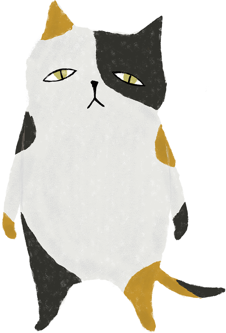 ミケ